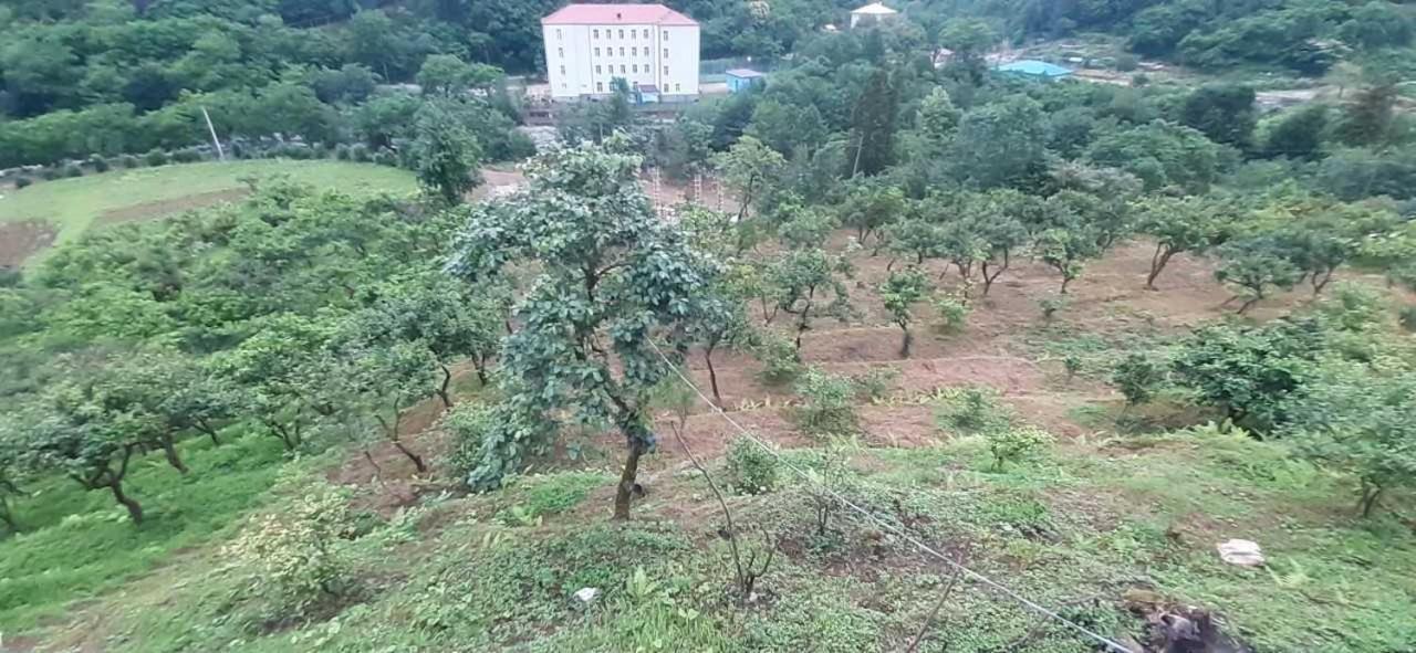 Appartamento Guest Hause Giorgi,Kobuleti- Xala Khala Esterno foto