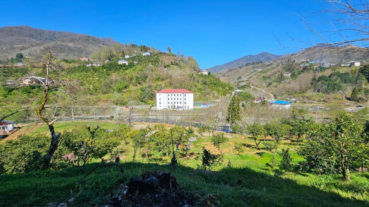 Appartamento Guest Hause Giorgi,Kobuleti- Xala Khala Esterno foto